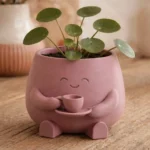 حامل نباتات وأقلام بتصميم باريستا